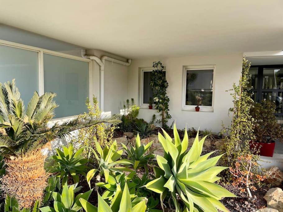 21 - Tres Agreable Rdc Avec Terrasse Et Parking Apartment Bandol Exterior photo