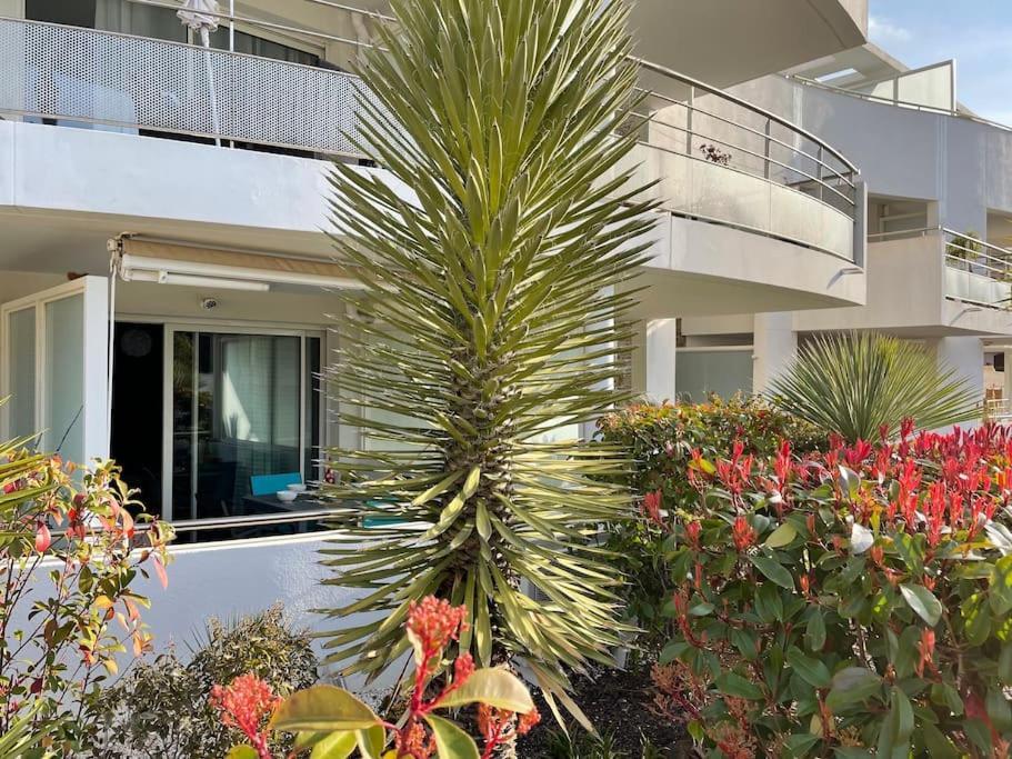 21 - Tres Agreable Rdc Avec Terrasse Et Parking Apartment Bandol Exterior photo