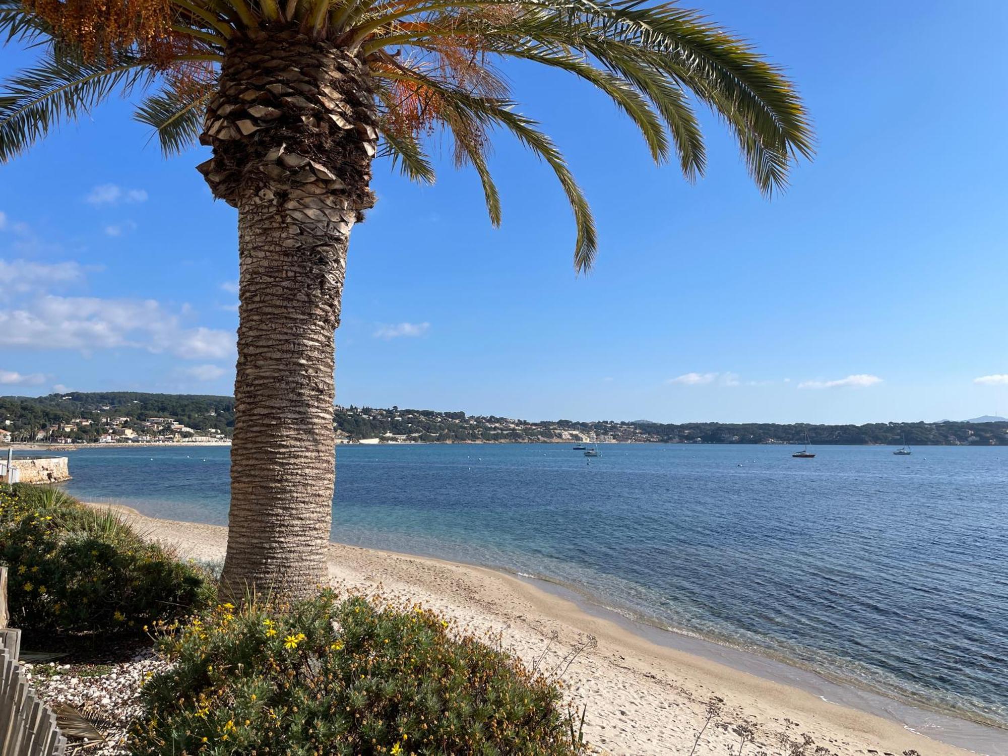 21 - Tres Agreable Rdc Avec Terrasse Et Parking Apartment Bandol Exterior photo
